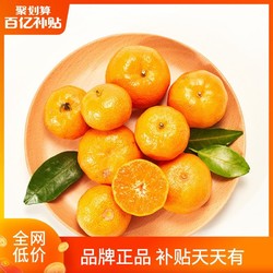 广西沙糖桔砂糖橘子当季新鲜现摘水果柑橘