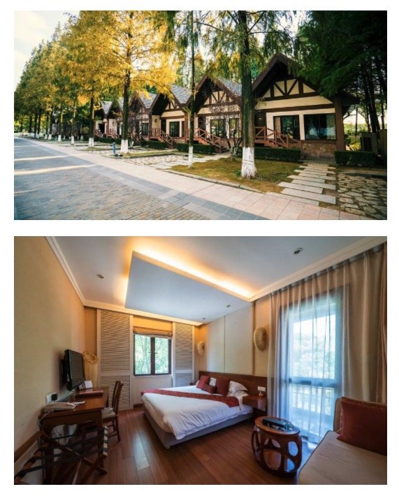 寒假可用！上海太阳岛 · 森林岛屿酒店 豪华房1晚（含早餐+牧场入场券）