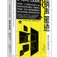 《销声匿迹 : 数字化工作的真正未来》