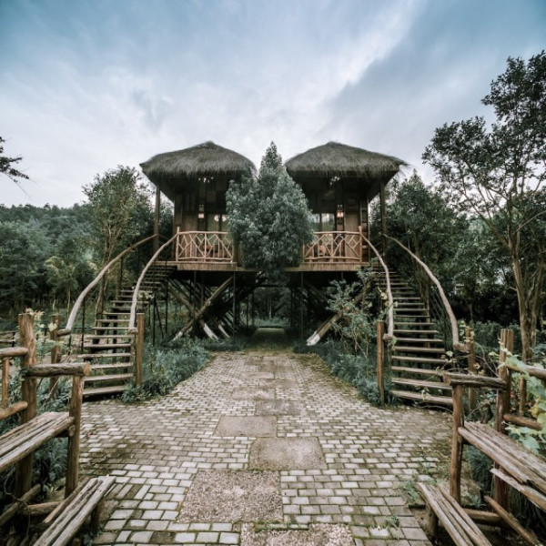 酒店介绍套餐详情荟集生活现有 莫干山树野villa民宿 树屋独栋大床房1