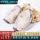 蓝盒子 乳山生蚝鲜活生鲜 超大海蛎子 牡蛎 净重5斤/10斤装 10斤  3XL号（约26~32个）