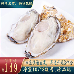 蓝盒子 乳山生蚝鲜活生鲜 超大海蛎子 牡蛎 净重5斤/10斤装 10斤  3XL号（约26~32个）