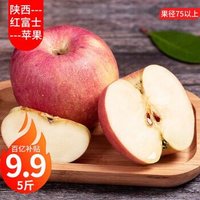 正宗陕西红富士苹果 2020新鲜水果当季大果 大果5斤装（果径75-80mm）