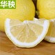 华秧安岳黄柠檬鲜果5.5斤大果当季新鲜水果一二级皮薄小青香柠檬6