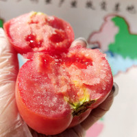 依禾农庄 沙瓤西红柿2.5斤