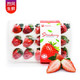 京东PLUS会员：四川高山草莓 新鲜水果 1斤装 *3件