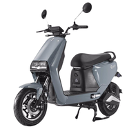 TAILG 台铃 优乐 电动摩托车 TL600DQT-47B 60V20Ah铅酸电池 北欧灰