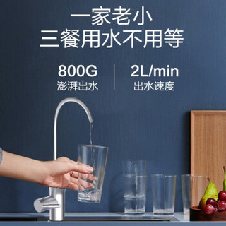 海尔（Haier） 家用净水器800G无桶大通量双出水直饮机云净HRO8H98-2反渗透TDS智能 净水器+201-R管线机+HP05前置