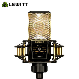 莱维特 (LEWITT) DGT 260 专业直播录音电容麦克风设备全套主播游戏声卡套装手机通用乐器k歌话筒 小金人