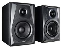 Teac LS-M100-B Powered Monitor 音箱