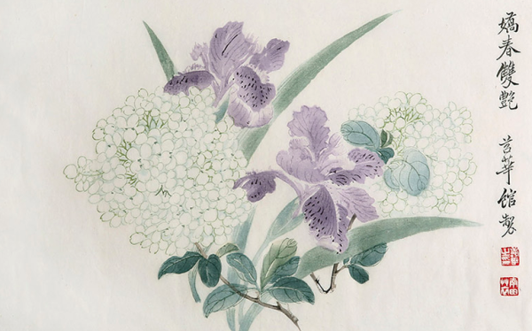 木版水印恽南田绣球花中国画装饰画收藏馈赠家居 什么值得买