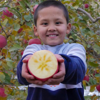 新疆阿克苏冰糖心苹果净重5斤丑红富士当季应季新鲜水果整箱包邮