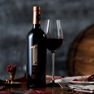 安缇加尔酒庄1号马尔贝克干红葡萄酒2017 阿根廷原瓶进口红酒