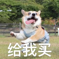 铲屎官们 今年最最最后一波 是时候薅羊毛了 什么值得买