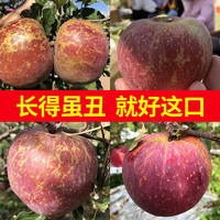 云南昭通丑苹果新鲜水果当季整箱3斤现摘应季冰糖心