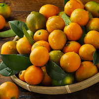 广西融安金桔新鲜水果5斤装当季脆皮薄皮小金桔滑皮整箱橘子