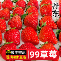 丹东草莓新鲜草莓丹东99草莓3斤奶油红颜大草莓九九草莓礼盒水果