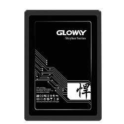 GLOWAY 光威 悍将 SATA3.0固态硬盘 480GB