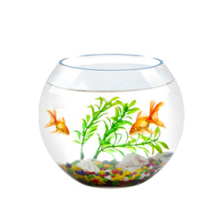 金鱼缸玻璃生态鱼缸客厅小型桌面鱼缸