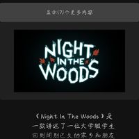 《Night In The Woods》