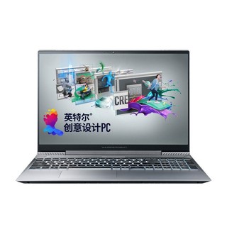 ThundeRobot 雷神 MasterBook 15.6英寸 设计本 黑色(酷睿i7-10870H、GTX 1650 4G、8GB、512GB SSD、1080P、IPS）