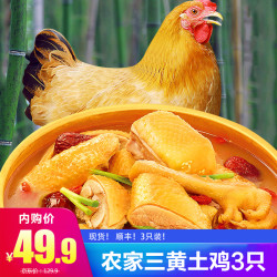 三黄鸡农家走地鸡土鸡仔鸡肉生鲜3只装