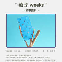 Hobonichi weeks本体 手账本