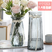 北欧玻璃花瓶透明水养富贵竹百合客厅干鲜花插花瓶摆件