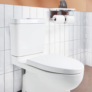 KOHLER 科勒 齐悦系列 K-22746T-S-0 分体式马桶 305mm坑距