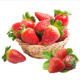 京东PLUS会员：田园居 天仙醉奶油草莓 3斤中大果　