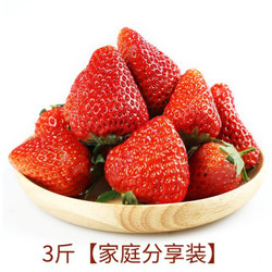 正宗丹东99草莓 3斤