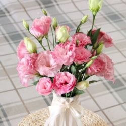 云南鲜花基地直发 洋桔梗粉色10-12朵