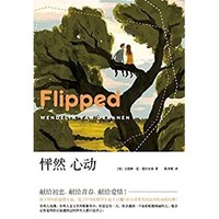 《怦然心动》Kindle电子书