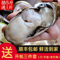 京东PLUS会员：蔬香客 乳山生蚝 海蛎子 鲜活牡蛎 XXXL号带箱6斤