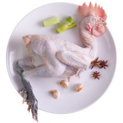 华英崇仁麻鸡净重12kg散养土鸡走地鸡月子鸡鸡肉生鲜