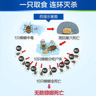 BAYER 拜耳 蟑螂药杀蟑胶饵 5g