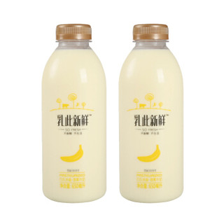 完达山乳此新鲜巴氏杀菌全脂香蕉牛奶 650ml*2 *10件