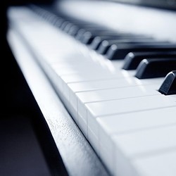 鋼琴 電子琴視頻教程 入門零基礎在線課程