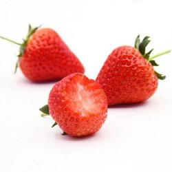 东方态美 丹东99草莓 净含量3斤
