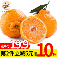 四川丑橘丑柑不知火净重4.5-5斤柑橘新鲜水果橘子丑桔丑八怪 *2件