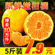 沙窝曙光 新鲜椪柑橘子 5斤装 桔子橘子 时令新鲜柑丑蜜橘桔 新鲜水果 时令生鲜 带箱约2.5kg装