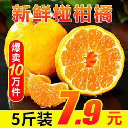 沙窝曙光 新鲜椪柑橘子 5斤装 桔子橘子 时令新鲜柑丑蜜橘桔 新鲜水果 时令生鲜 带箱约2.5kg装