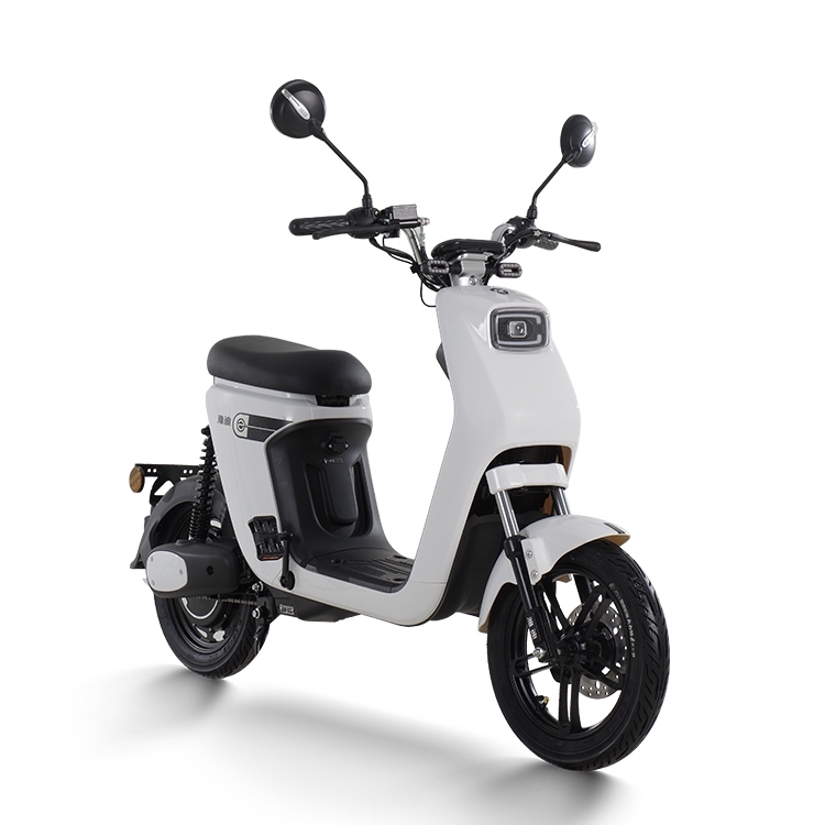 yadea雅迪欧睿新国标电动车48v24ah锂电