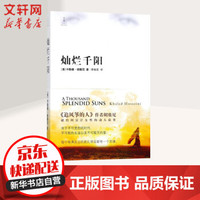 灿烂千阳 作者另著追风筝的人 群山回响