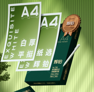 deli 得力 辉铂 A4复印纸