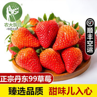 京东PLUS:农大腕儿 草莓丹东特产红颜九九草莓 净重2.5斤