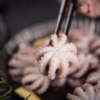 享念八爪鱼鲜活冷冻迷你短腿八爪鱼大爆头小章鱼海鲜水产新鲜刺身