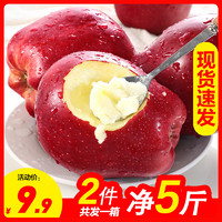 甘肃天水花牛苹果 2.5斤 单果70-75mm 中果 红苹果 新鲜水果 生鲜水果