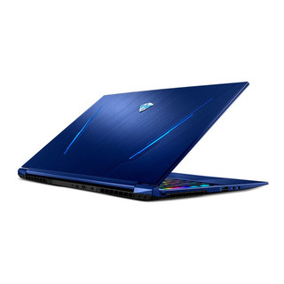 MACHENIKE 机械师 战空系列 F117 Plus 17.3英寸 笔记本电脑 酷睿i7-10875H 32GB 1TB SSD+2TBHHD RTX2080 Super Max-Q 8G 144Hz 蓝色