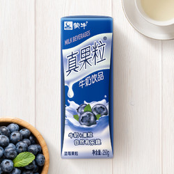 MENGNIU 蒙牛 真果粒蓝莓果粒牛奶饮品250g*12盒